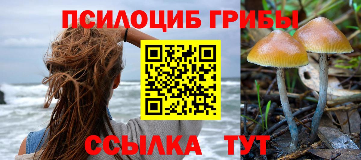 Псилоцибиновые грибы ЛСД  Галлюциногенные грибы Psilocybe  Курчалой  Вход с VPN 