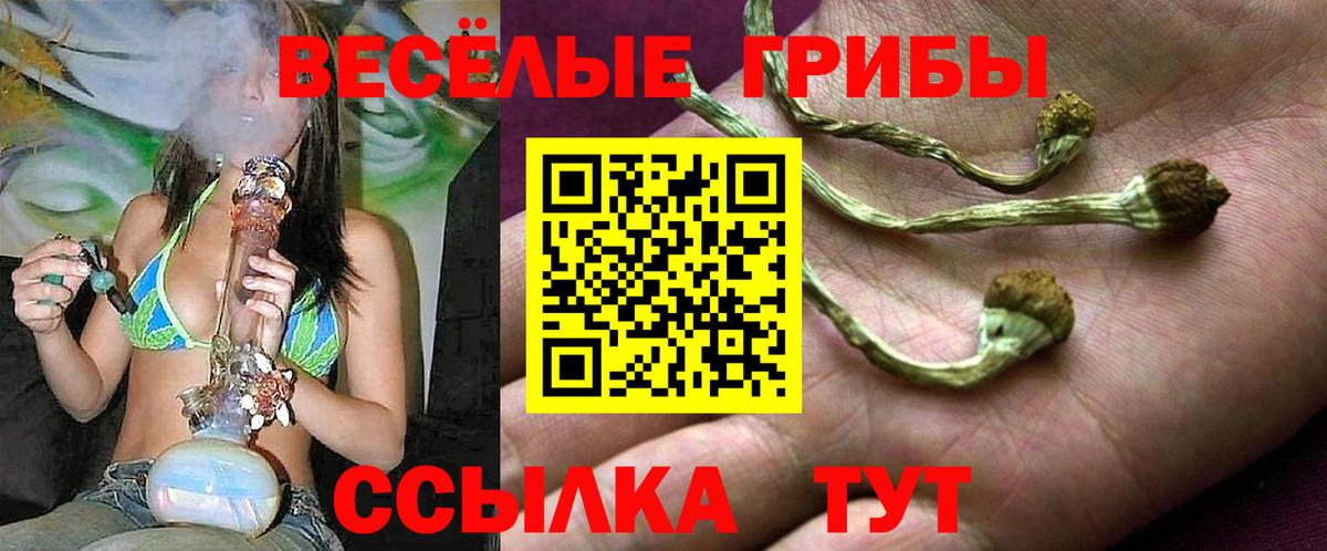 Галлюциногенные грибы ЛСД Курчалой